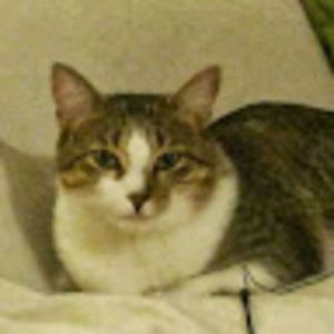 Meet your Posher, Alaina